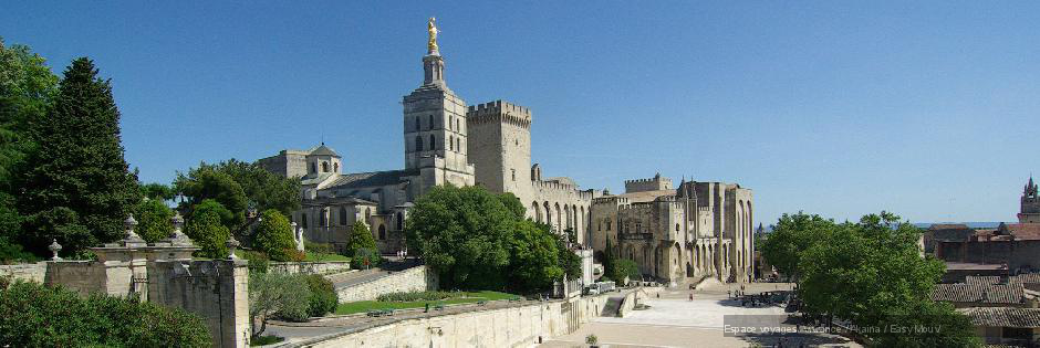 Voyage sur mesure : A travers les champs de lavande de Provence - FRANCE